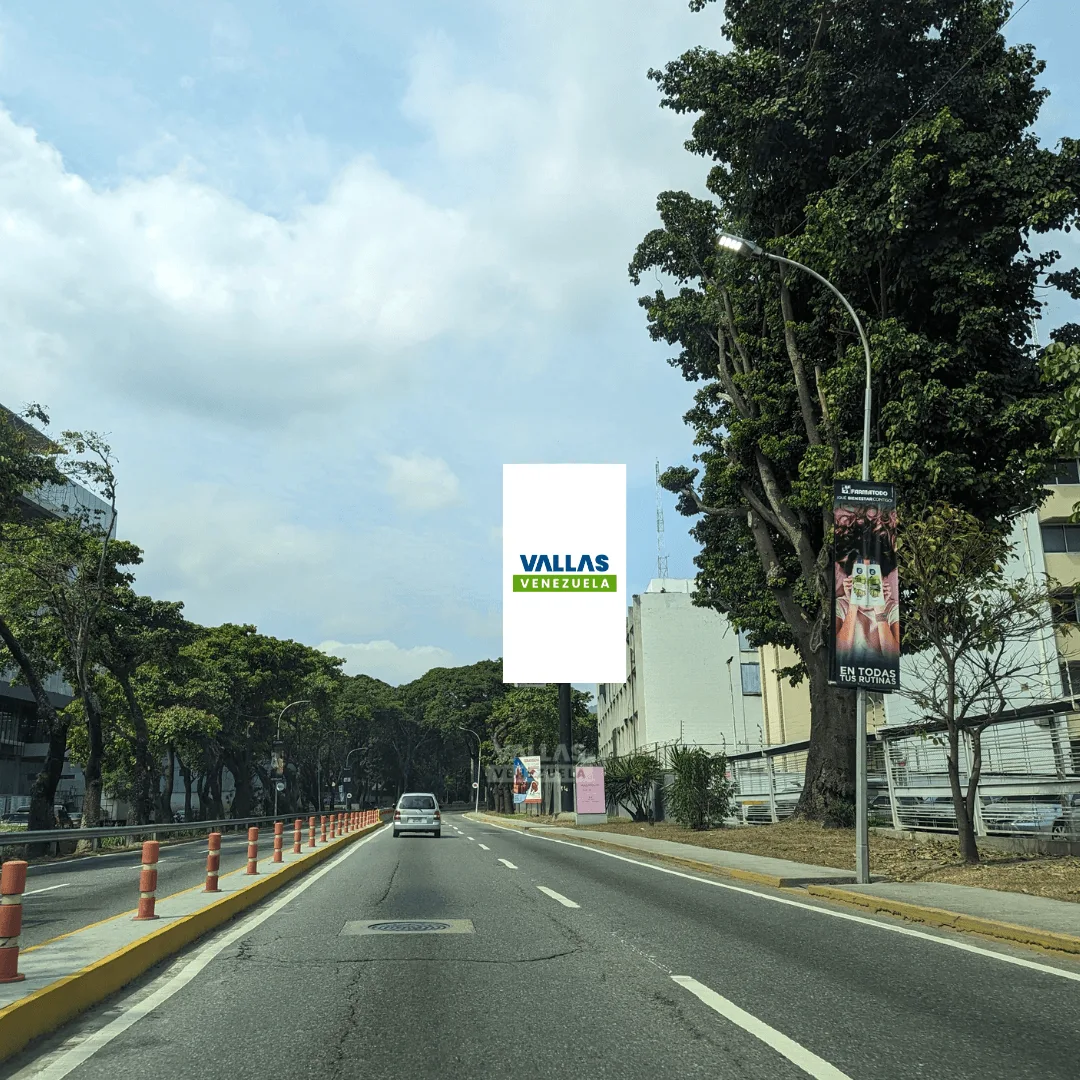 Av. Principal de la Trinidad pasando el Auto-Lavaito, vía Prados del Este, Valla Vertical de 6m x 12m