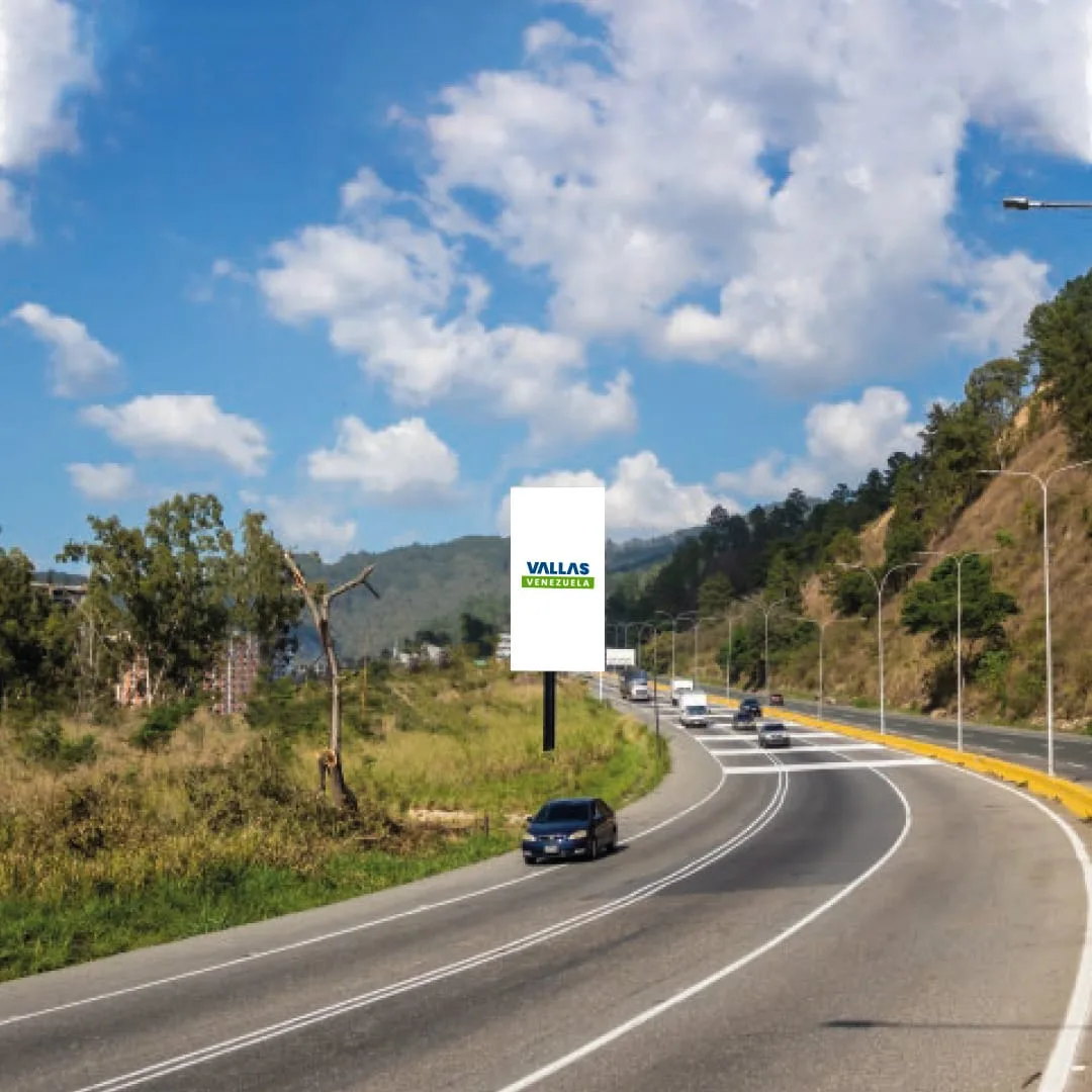 Curva de Turmerito (Tazón) sentido Caracas