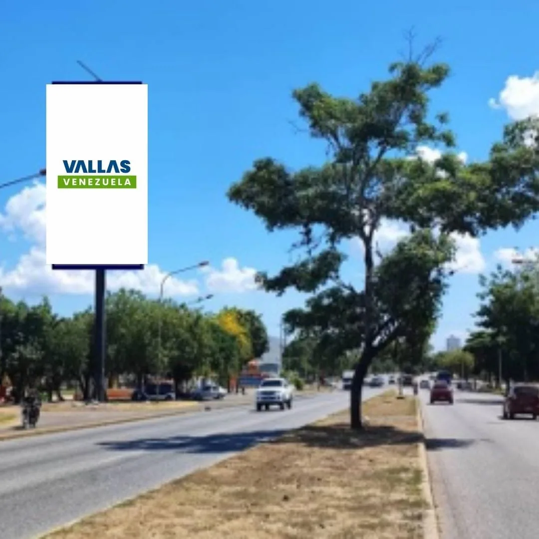 Av. Libertador complejo ferial. Sector las trinitarias desde el obelisco antes del C.C. las trinitarias